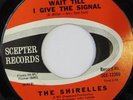 rare Soul Girl Group 45 SHIRELLES wait till i give the signal SCEPTER Hear