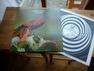 GENTLE GIANT OCTOPUS 1972 MINT UK SPIRAL IS A DREAM