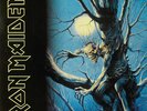 IRON MAIDEN - FEAR OF THE DARK - 2 LPs - DE 92 - MINT