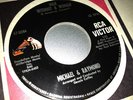 Northern Soul 45 MICHAEL & RAYMOND Man Without a Woman RCA detroit NM stock copy