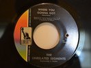 The Unrelated Segments, Where You Gonna Go?   Liberty, Garage Psych 45