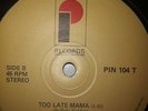  BOOGIE BUFFALO SOLDIER Too late mama 12