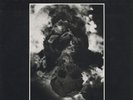 LP:Calva Y Nada,El Peste Perverso Lleva Mi Peluca[NM] (ZZO Recordings)-WASHED