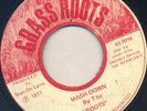 77' GRASS ROOTS REGGAE 45 THE ROOTS MASH DOWN/SOLJA MAN SKANK ?