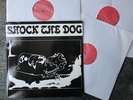 Peter Gabriel (Genesis) shock the dog 3 LPS wie neu