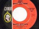 GARAGE 45 DJ : Bobby Roberts & Ravons - How Can I Make Her Mine