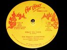Killer  The Mighty Diamonds - Pray To Thee / 12