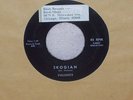RARE 60's Chicago Garage-Valiants-Skogian-Brosh Records-Unknown Listing?