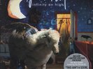 Fall Out Boy 'Infinity on High' Vinyl Record