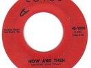 RARE GARAGE / PSYCH    THE STAINS     NOW AND THEN   LOTUS