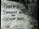 SUPER RARE PRIVATE 70s   ABNER JAY   COCAINE BLUES   REAL PEOPLE GUITAR 