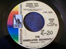 1967 MICHIGAN  GARAGE--UNRELATED SEGMENTS--WHERE YOU GONNA GO?--LIBERTY, PROMO