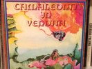 Lp Beat I Camaleonti In Vendita Originale Cm 38501 Anno 1977 Raro