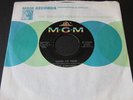 Sunliners   Land of Nod   MGM   Detroit garage psych funk 45 HEAR
