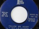 rare Soul 45 BIG DEE IRWIN follow my heart ROTATE