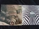 KIn Ping Meh - No 2 Zebra Records LP