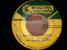 THE WAILERS - LONESOME FEELINGS // THERE SHE GOES / WINCOX / EX