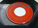 SKA-       THE GAYLADS / THERE’LL COME A DAY