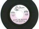 RARE 45 RPM The Accents, Sultan Records 5500, M-, Rags To RIches/Where Can I Go?