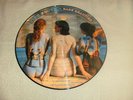 Pink Floyd, Rare Beauties, Mint & new condition, .Picture Disc