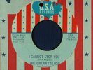 CHERRY SLUSH Michigan mod/rock 45 I CANNOT STOP YOU / DON'T WALK AWAY  VG+toVG++