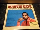Marvin Gaye 12