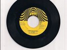 THE BLOWFLYS 45 ON DASH LABEL 