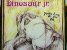DINOSAUR JR. you're living all over me LP Mint- SST 130 ORIG 1987 2nd Version