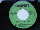 THE DELREYS INCORPORATED   -  Destination Unknown  -  Tampete 45