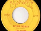 THE LITTER on WARICK - ACTION WOMAN & WHATCHA GONNA DO - MN Garage Psych 45 HEAR