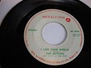 REGGAE/ SKA- GAYLETS - MERRITONE 45 RPM - I LIKE YOUR WORLD/ THAT LONELY FEELING