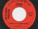 PLEBEAIN REBELION stick to your guns 45 killer MOD dancer HAMMOND hear ??