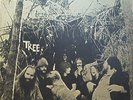 Rare Tree - Self Titled on Goat Farm Records - Hippie Psych - NM Vinyl