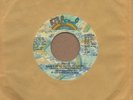 Skip Mahoney - Janice / Dont Stop Me Know