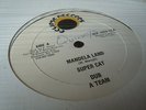 Super Cat Mandela Land Rare Killer Digi 12