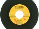 RARE 45 RPM, The Interiors, Worthy Records 1009, VG++, Echoes/Love You Some More