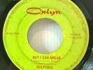 Sceptres 1966 But I Can Dream Mega-Rare Garage Rock Orlyn # 0988 Very Good NR