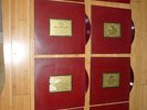 8 RARE 1950's Concert Hall Limited Recordings Red Vinyl LP