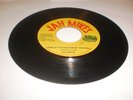 JAH MIKES/DOWN IN THE BOTTOM OF THE WELL- JAH MIKES 7