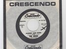 THE SEEDS-1966 GARAGE ROCK PROMO 45 RPM-CRESCENDO LBL #372-PUSHIN' TOO HARD