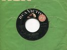 listen MEXICAN GARAGE SURF Los Zignos LAS GALLINAS promo KILLER INSTRO SURF