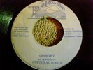 Cultural Roots - Cemetry - Blue Mountain 7
