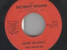 THE WANTED Here To Stay / Teen World ORIG 60's DETROIT GARAGE 45 *LISTEN