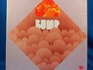 BUMP * Orig * 1970 US Pioneer PRIVATE HEAVY ORGAN FUZZ PSYCH PROG LP