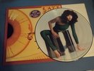 Kate Bush The Kick Inside UK 2nd Pressing UK Limited Edition LP Picture Disc