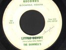 ORIG RARE SURF GARAGE 45 DAWNELL'S DAWNELLS BOGAN SCORPION LITTLE EGYPT LISTEN 