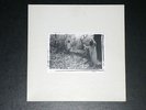 SUNN O))) WHITE BOX 3XLP PIC LTD 121/500 RARE EARTH BURNING WITCH BORIS