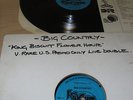 BIG COUNTRY  KING BISCUIT DBL ALBUM