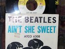 Beatles Ain't She Sweet Classic Rock Garage 45 Scarce Picture Sleeve US