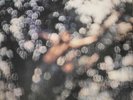 PINK FLOYD - OBSCURED BY CLOUDS - MINT
